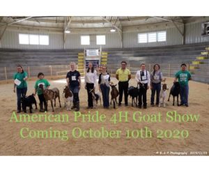 American Pride 4-H Goat Show