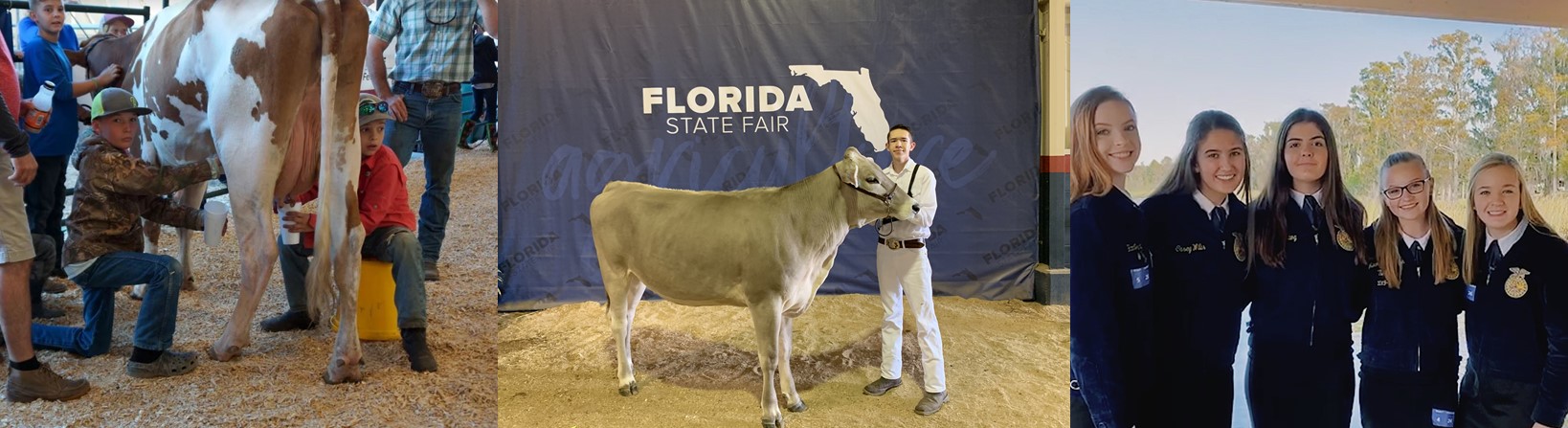 DairyJudging_Header