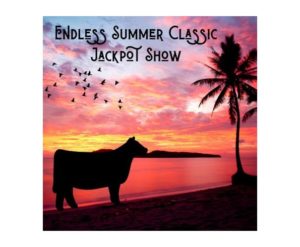 Endless Summer Classic