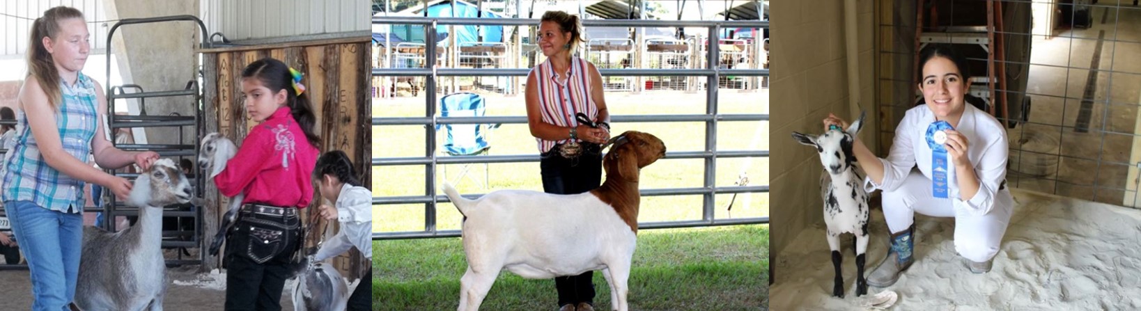 GoatShows_Header_Correct