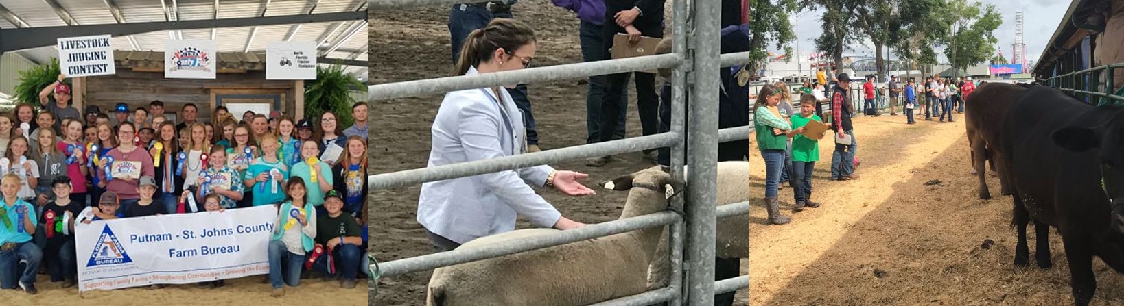 LivestockJudging_Header_Correct