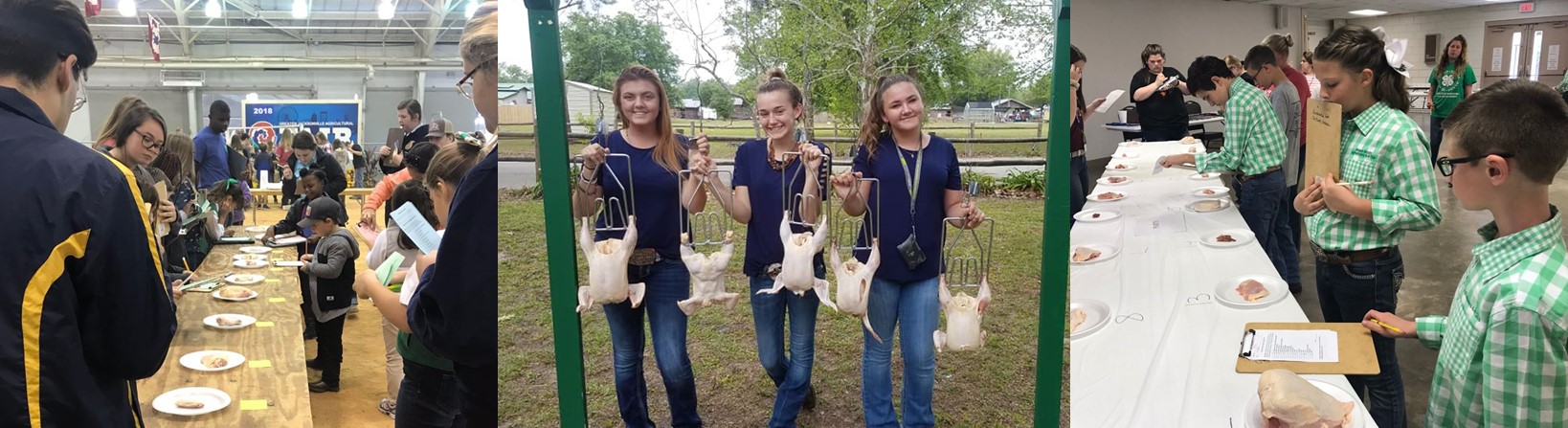 PoultryJudging_Header