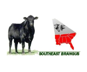 SoutheastRegionalBrangusShow