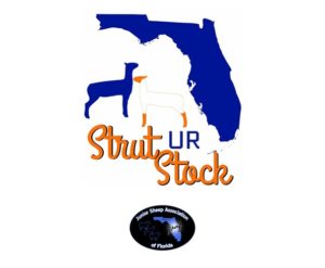 StrutUrStock_JSAF Logo