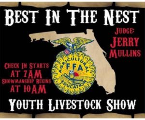 Best in the Nest LOGO