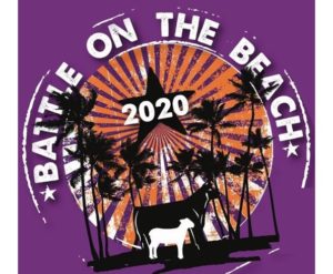 IRC Battle on the Beach_Updated