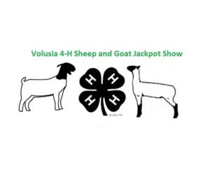 Volusia County Showdown LOGO