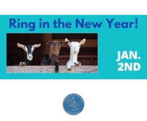 RingintheNewYear_ADGALogo