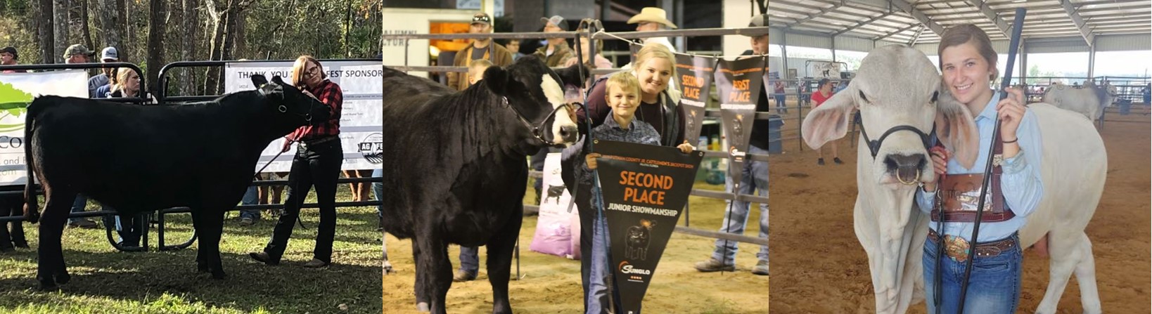 SpringCattleShows_Header