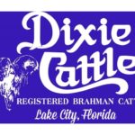Dixie Cattle Summer Spectacular